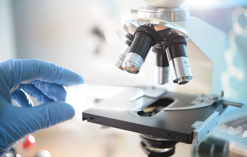 康苰生物 以核心肽科技铸就匠心产品与卓越服务